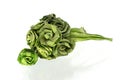 Roses made Ã¢â¬â¹Ã¢â¬â¹from Pandanus Royalty Free Stock Photo